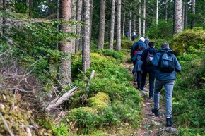 Pressemitteilung: Wilde Nacht